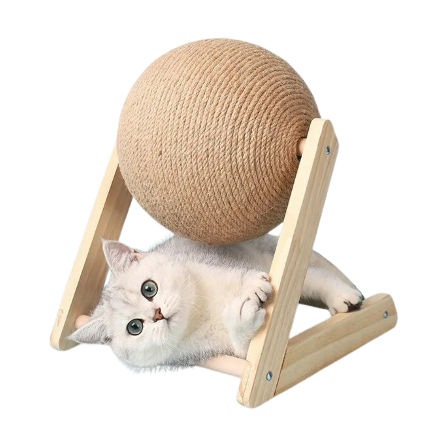 Cat Sphere Scratcher