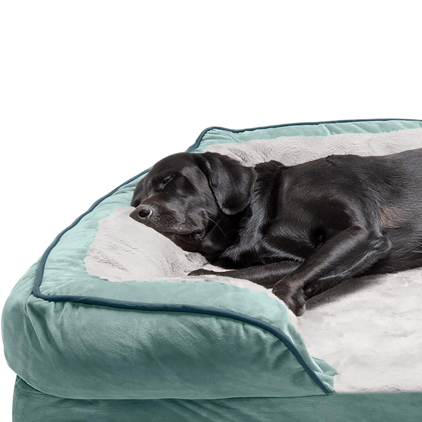 The Plush Pet Bed